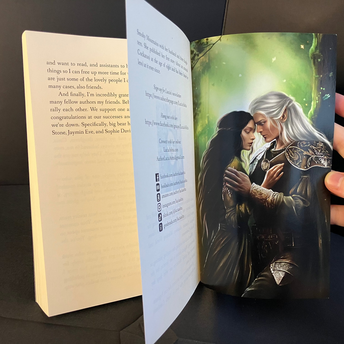 Fae Heir Luxe Edition Paperback (Limited Supply)